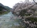 DSCN3349.jpg