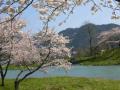 DSCN3369.jpg