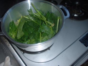 013_convert_20111120110242.jpg
