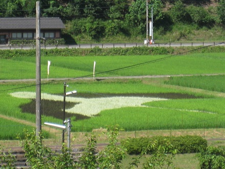 田んぼアート2