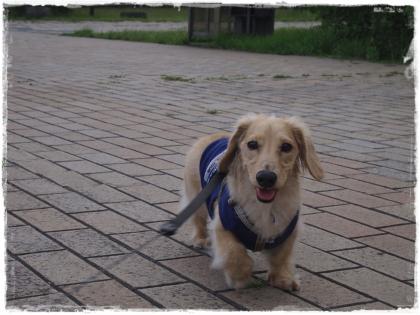 0630-20.jpg