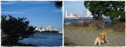 0707-01.jpg