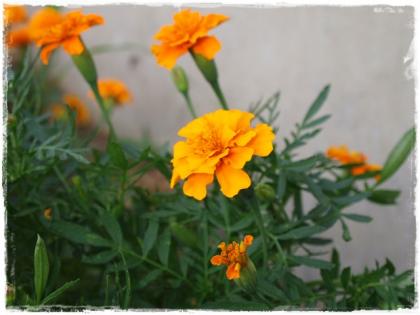 0721-9.jpg