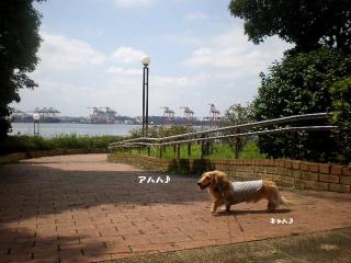 0828-11.jpg