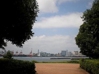 0828-3.jpg