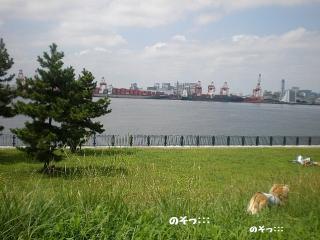 0828-7.jpg