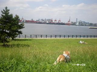 0828-8.jpg
