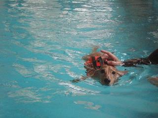 11_20110828163738.jpg