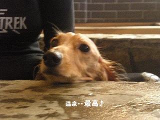 15_20110828163738.jpg