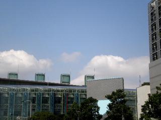 1_20110828162349.jpg