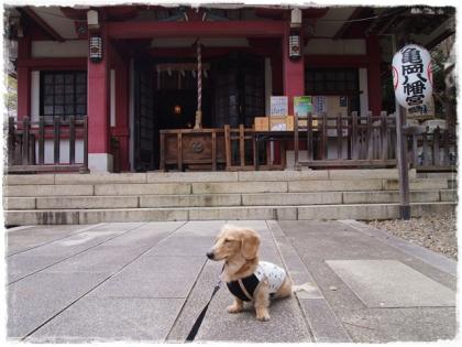 0325 お礼参り⑥