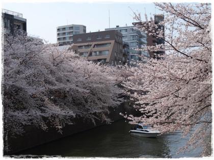 P3245184中