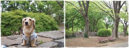 2-⑤tile