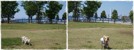 20130506-5.jpg