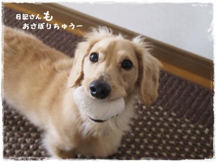 おさぼりちゅーなの