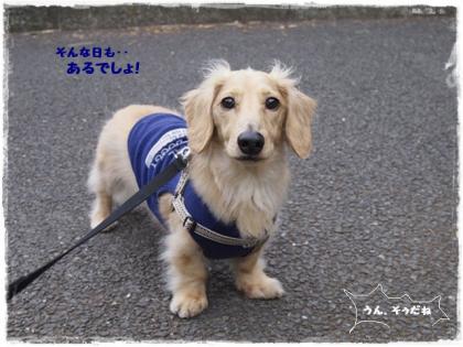 そんな日もあるでしょ・・
