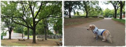 20130721-1.jpg