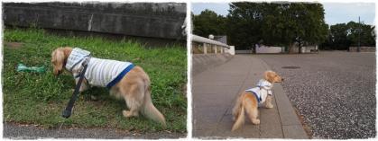 20130721-2.jpg