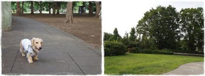 20130721-3.jpg