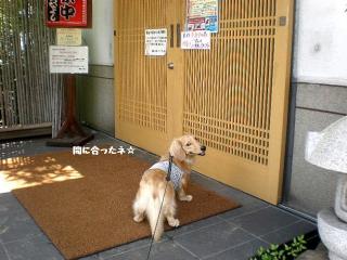 3_20110828163023.jpg