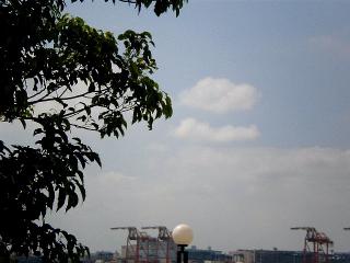 P8280515.jpg