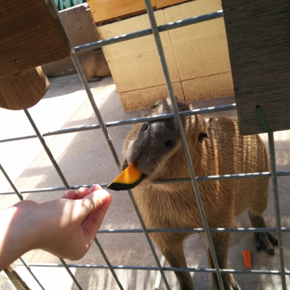 2014-09-14-14-00-37_photo (410x410)