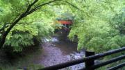 2012050216210000.jpg