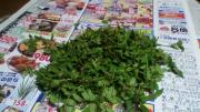 2012050608570001.jpg