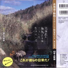 ウサギを探して1