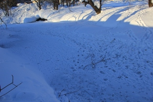 2月19 夕暮れ (5)