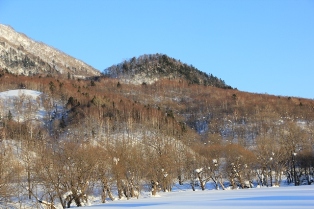 2月19 夕暮れ (2)