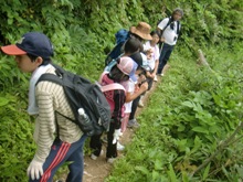 CIMG0799.jpg