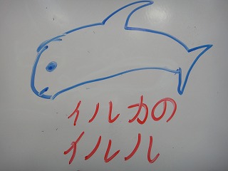 DSC02646.jpg