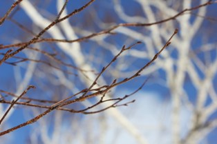 IMG_4192.jpg