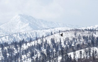 IMG_4237.jpg