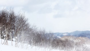 IMG_4249.jpg
