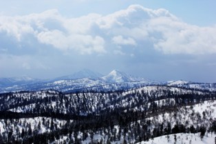 IMG_4257.jpg