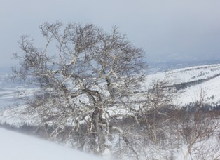 IMG_4273.jpg
