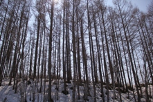 IMG_4778.jpg
