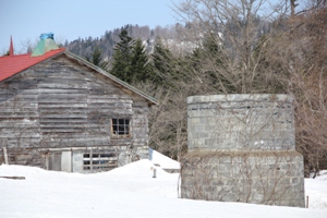 IMG_4788.jpg