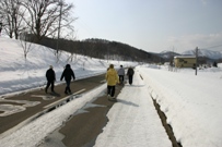 IMG_6037.jpg