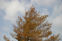 IMG_6042.jpg