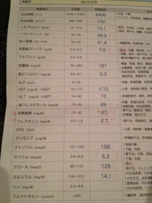 IMG_0316_convert_20120320221601.jpg