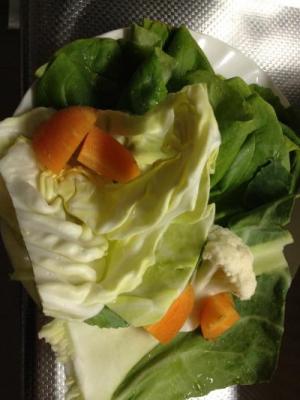 IMG_0333_convert_20120321231353.jpg