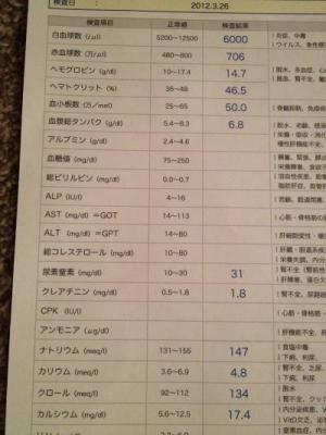 IMG_0422_convert_20120326223954.jpg