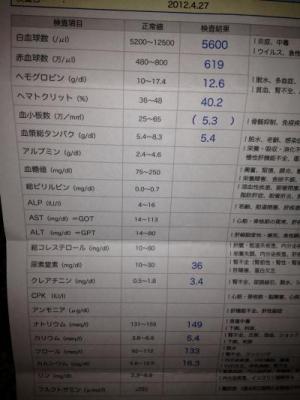 IMG_0549_convert_20120428005240.jpg