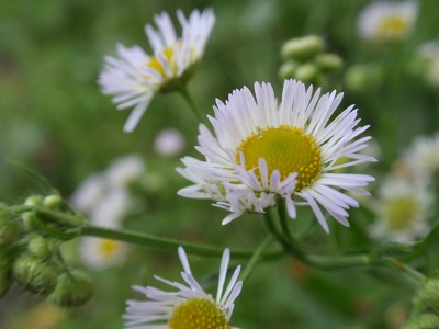 P9190003.jpg