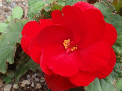 P92112.jpg