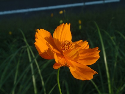 P92313.jpg