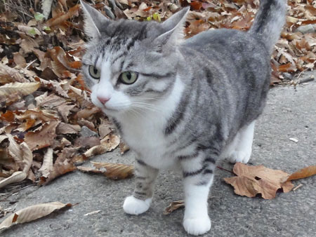 ガサガサッ3